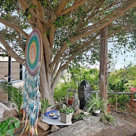 Casa Munay Granadilla De Abona Eksteriør bilde